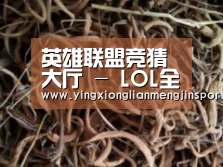 英雄联盟竞猜大厅 - LOL全球总决赛下注官方网站直播