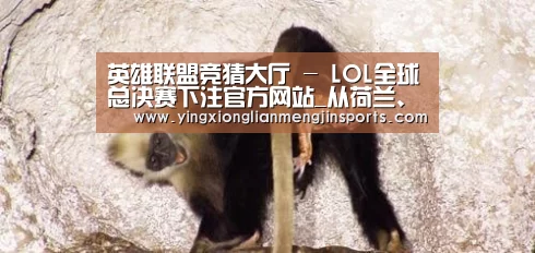 英雄联盟竞猜大厅 - LOL全球总决赛下注官方网站_从荷兰、泰国、韩国、马来西亚、美国接力寄爱!韵达海外网点这么做...(图1) 英雄联盟竞猜大厅 - LOL全球总决赛下注官方网站