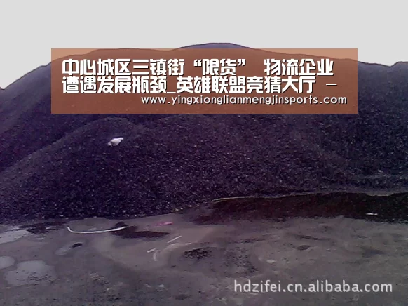 中心城区三镇街“限货” 物流企业遭遇发展瓶颈_英雄联盟竞猜大厅 - LOL全球总决赛下注官方网站下载(图4) 英雄联盟竞猜大厅 - LOL全球总决赛下注官方网站直播